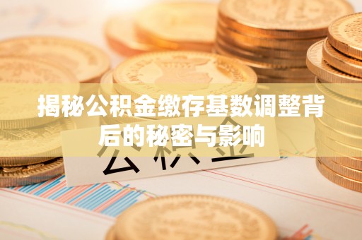 江永揭秘公积金缴存基数调整背后的秘密与影响